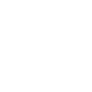 FAST SHIPPING